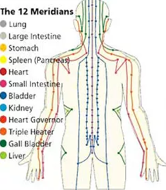 The 12 Meridians - Cupping