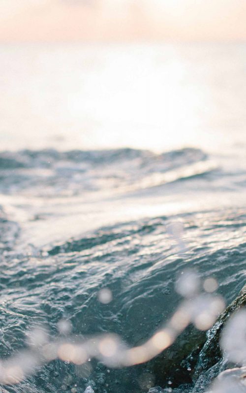 Are we the right fit for you?